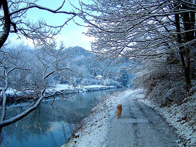 The River Avon at Hanham in snow