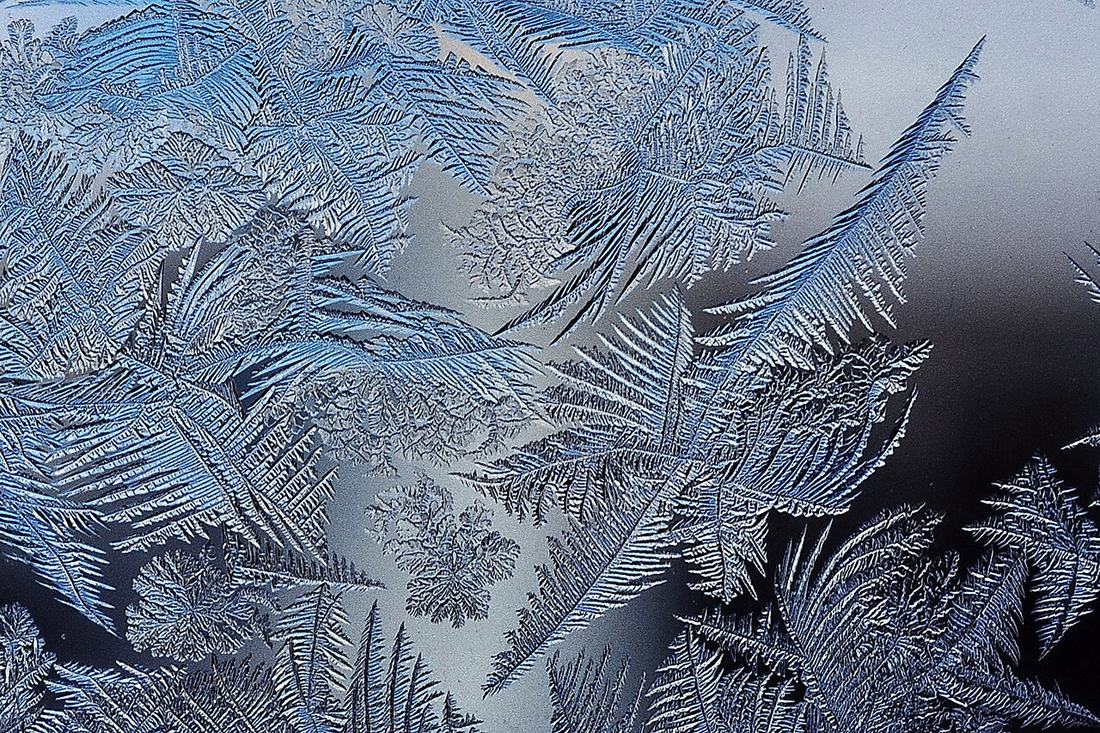 Frost patterns on a window