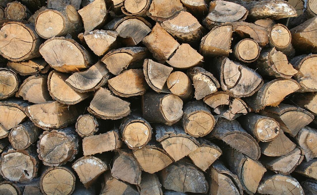 Stacked firewood